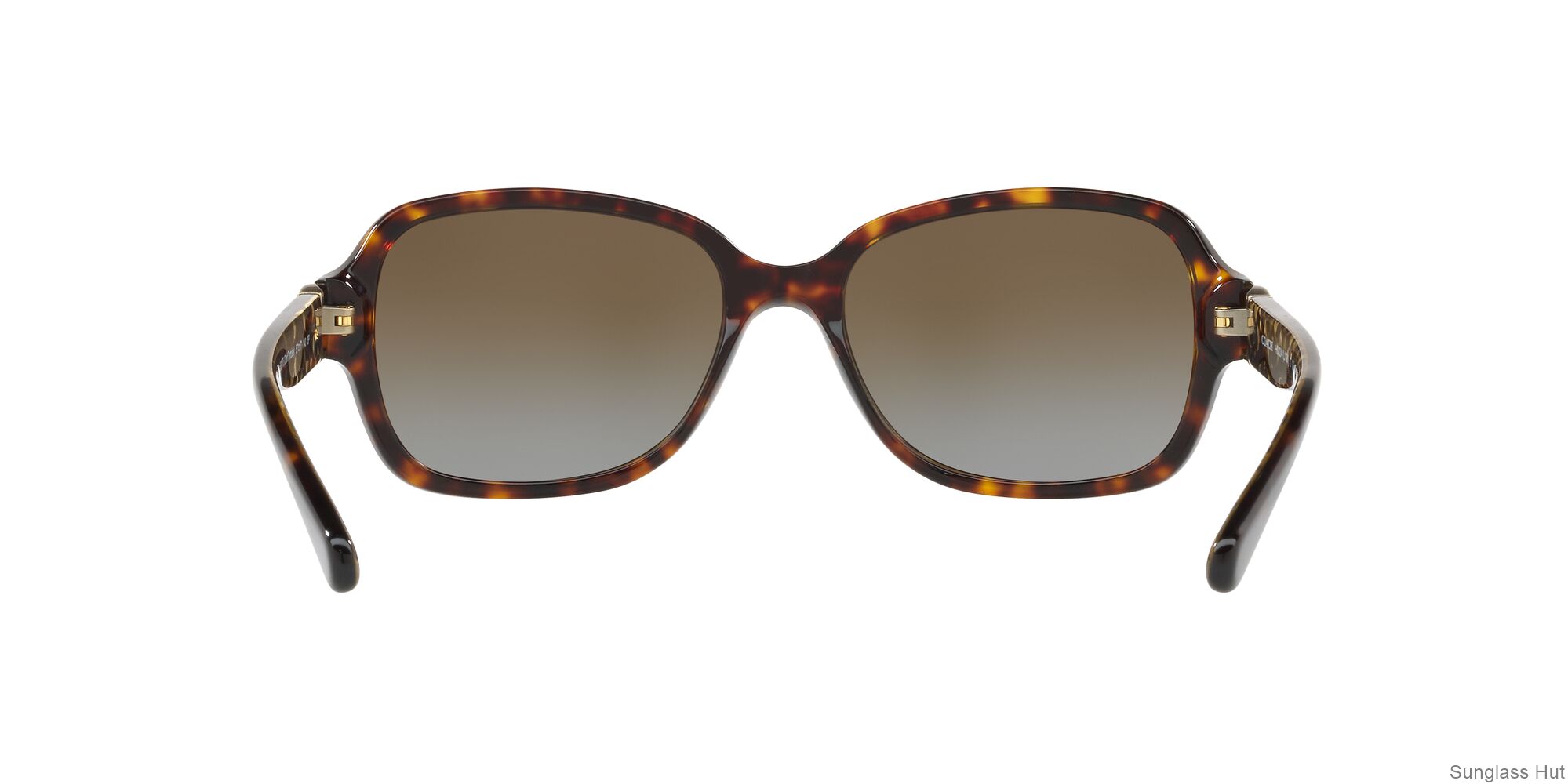 HC8241 Tortoise/Brown Gradient Polar/Polarized L