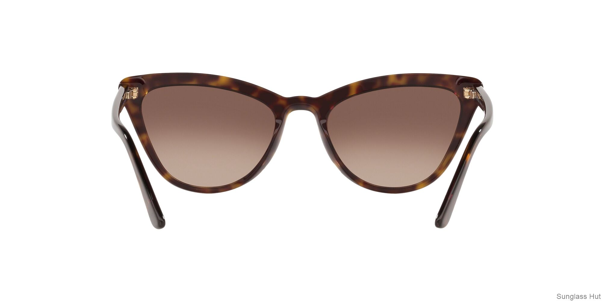PR 01VS Brown/Brown Gradient L