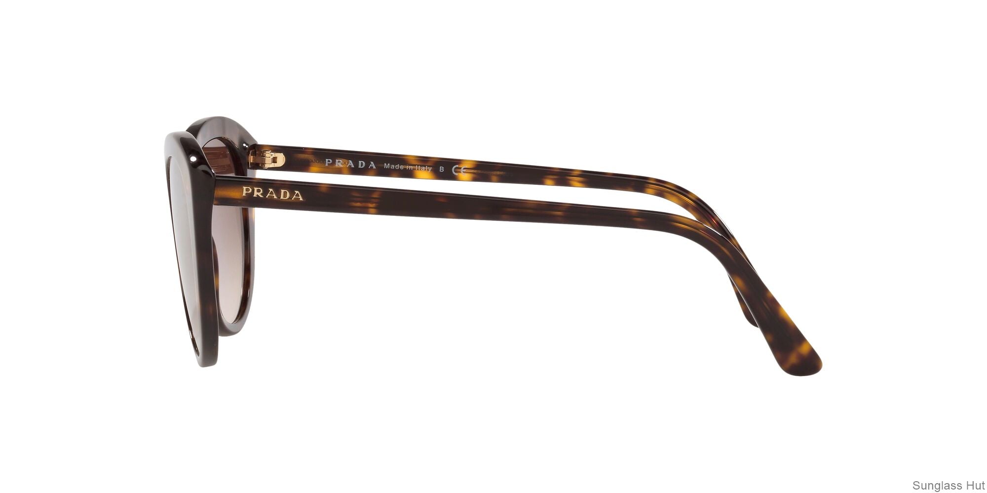 PR 02VS Brown/Brown Gradient M