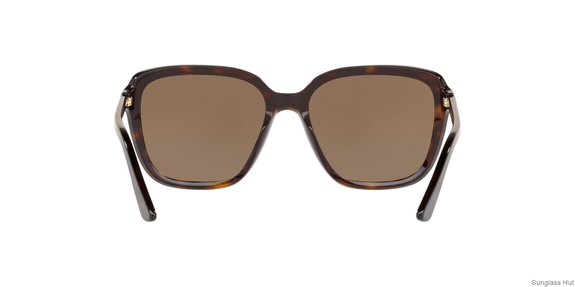 PR 10VS Brown/Brown M