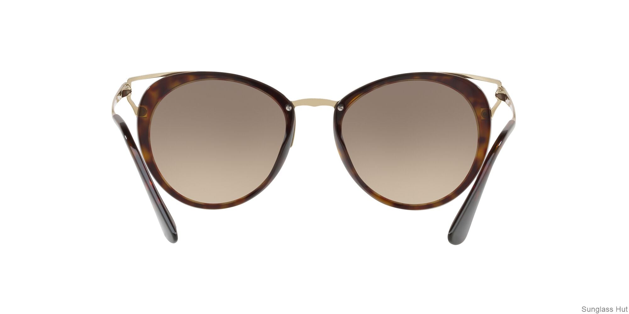 PR 66TS Gold/Brown Gradient XXL