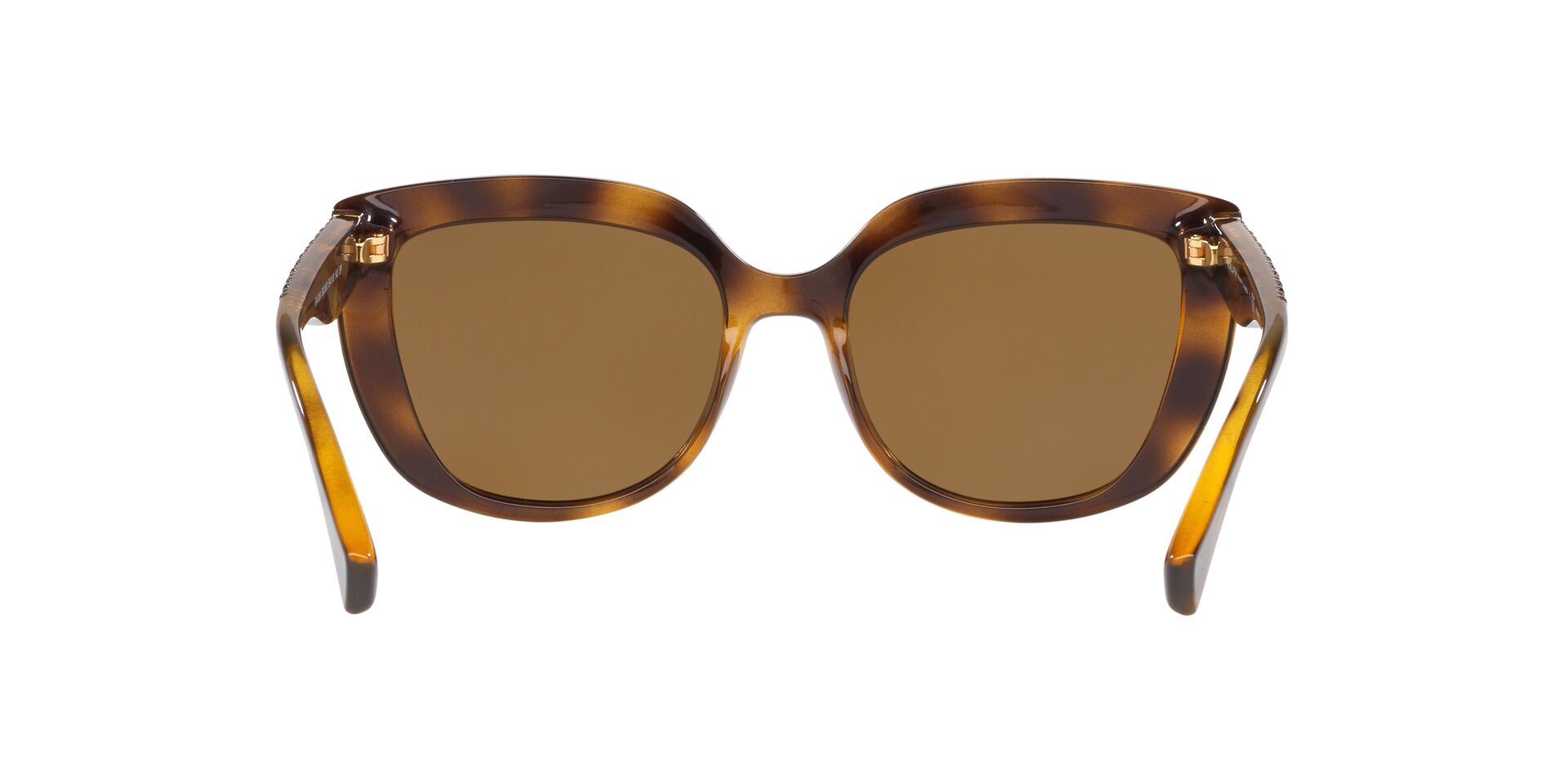 RA5254 Havana/Polar Brown/Polarized S
