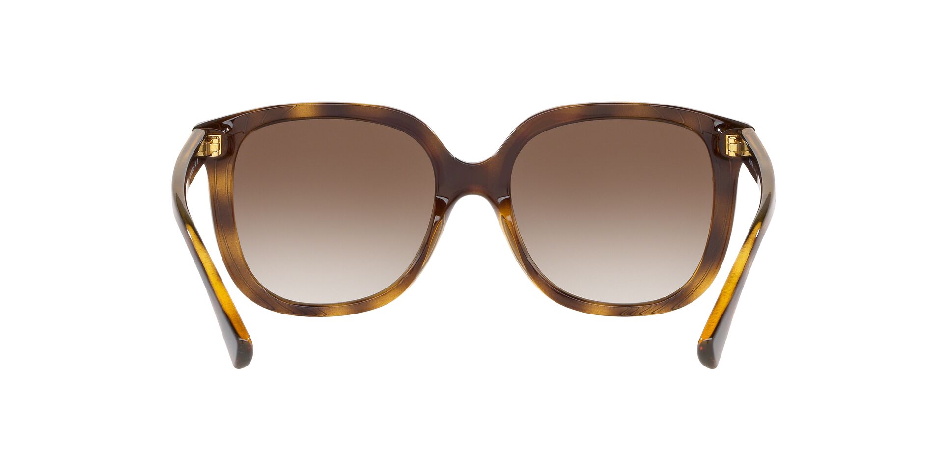 RA5257 /Gradient Brown L