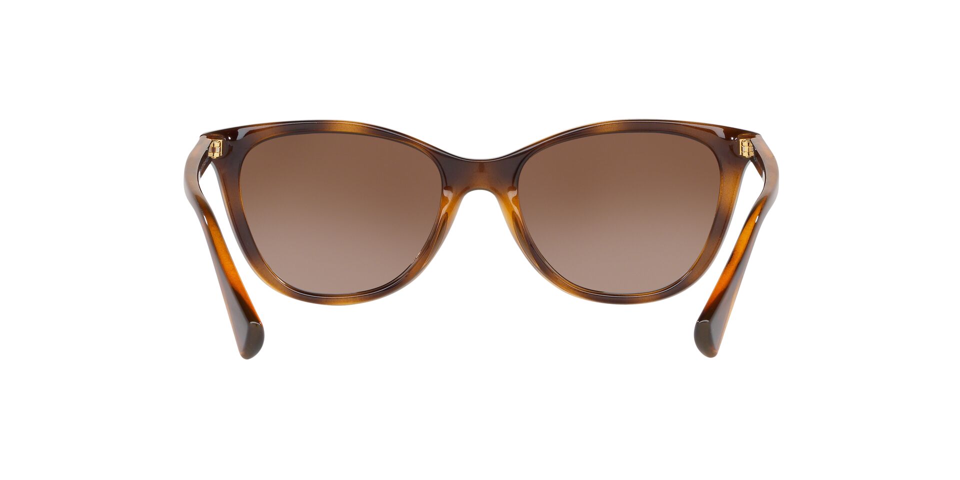 RA5259 /Polar Gradient Brown/Polarized L