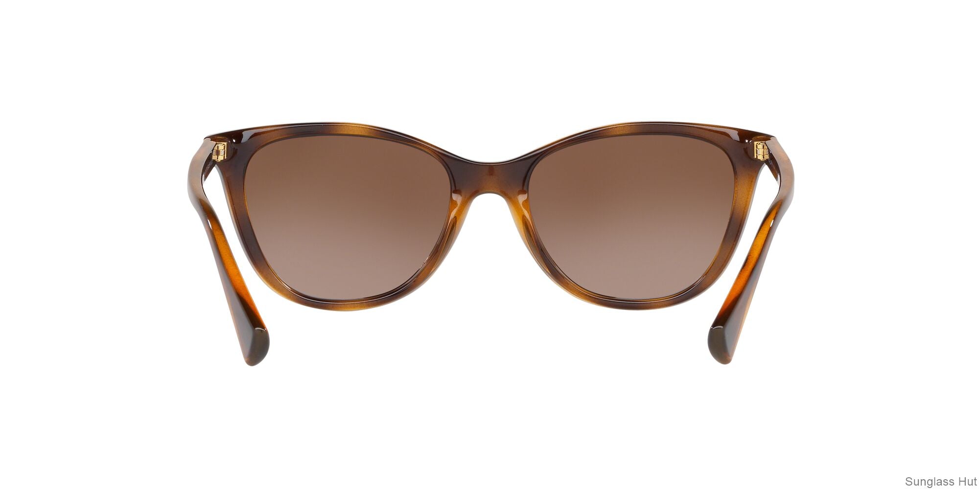 RA5259 /Polar Gradient Brown/Polarized L