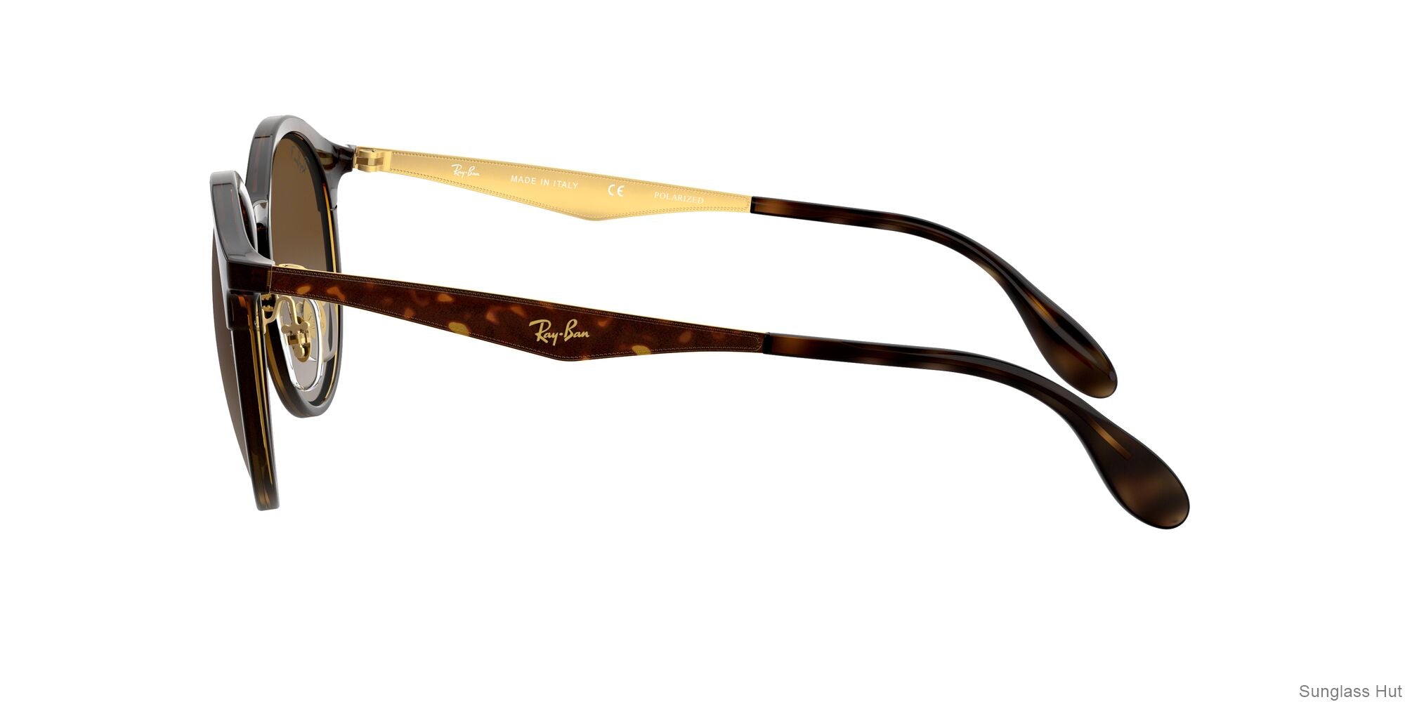RB4277 Tortoise/Polarized Brown Gradient/Polarized STD