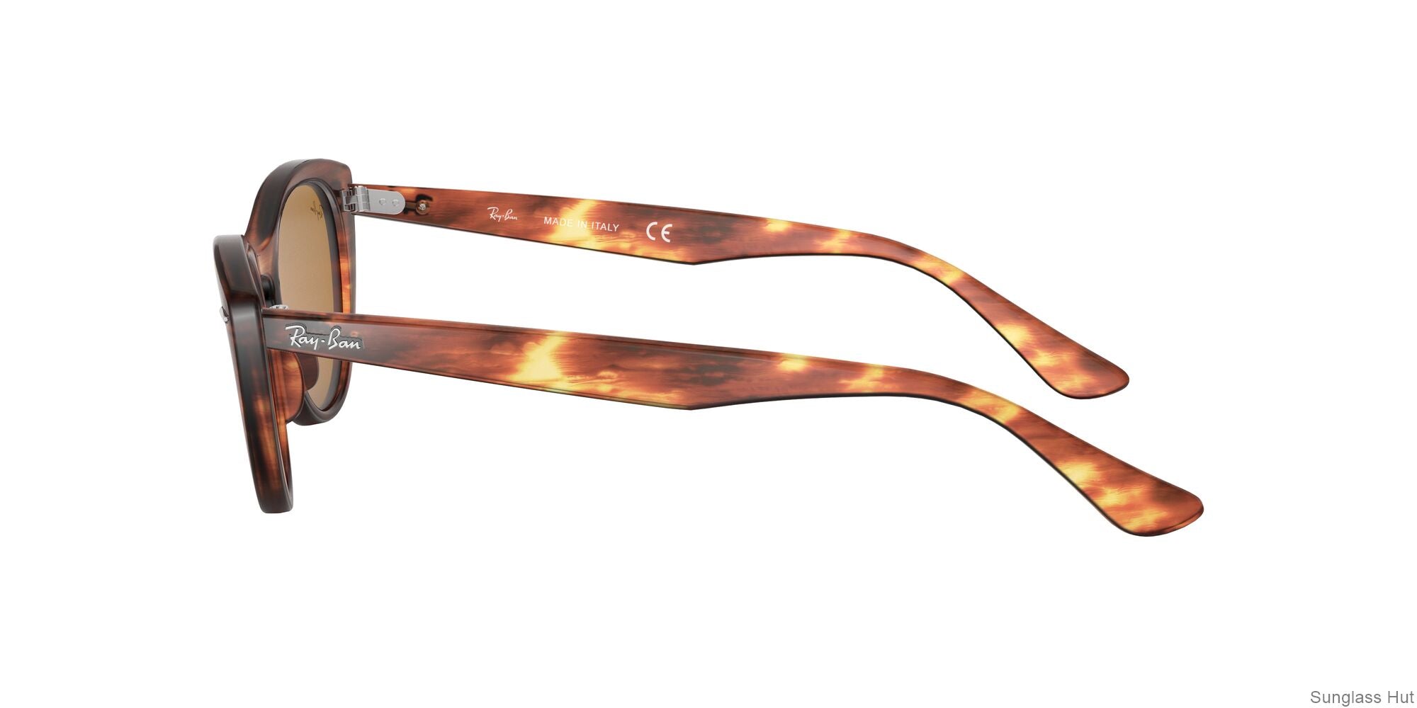 RB4314N Tortoise/Brown Classic B-15 STD