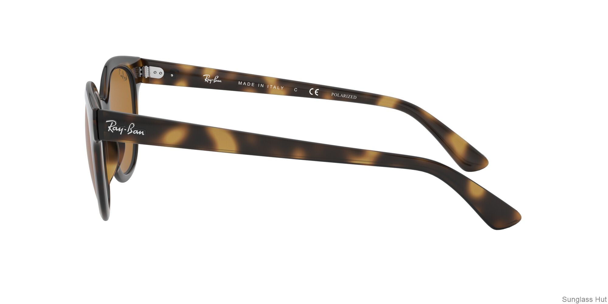 RB4324 Tortoise/Brown/Polarized STD