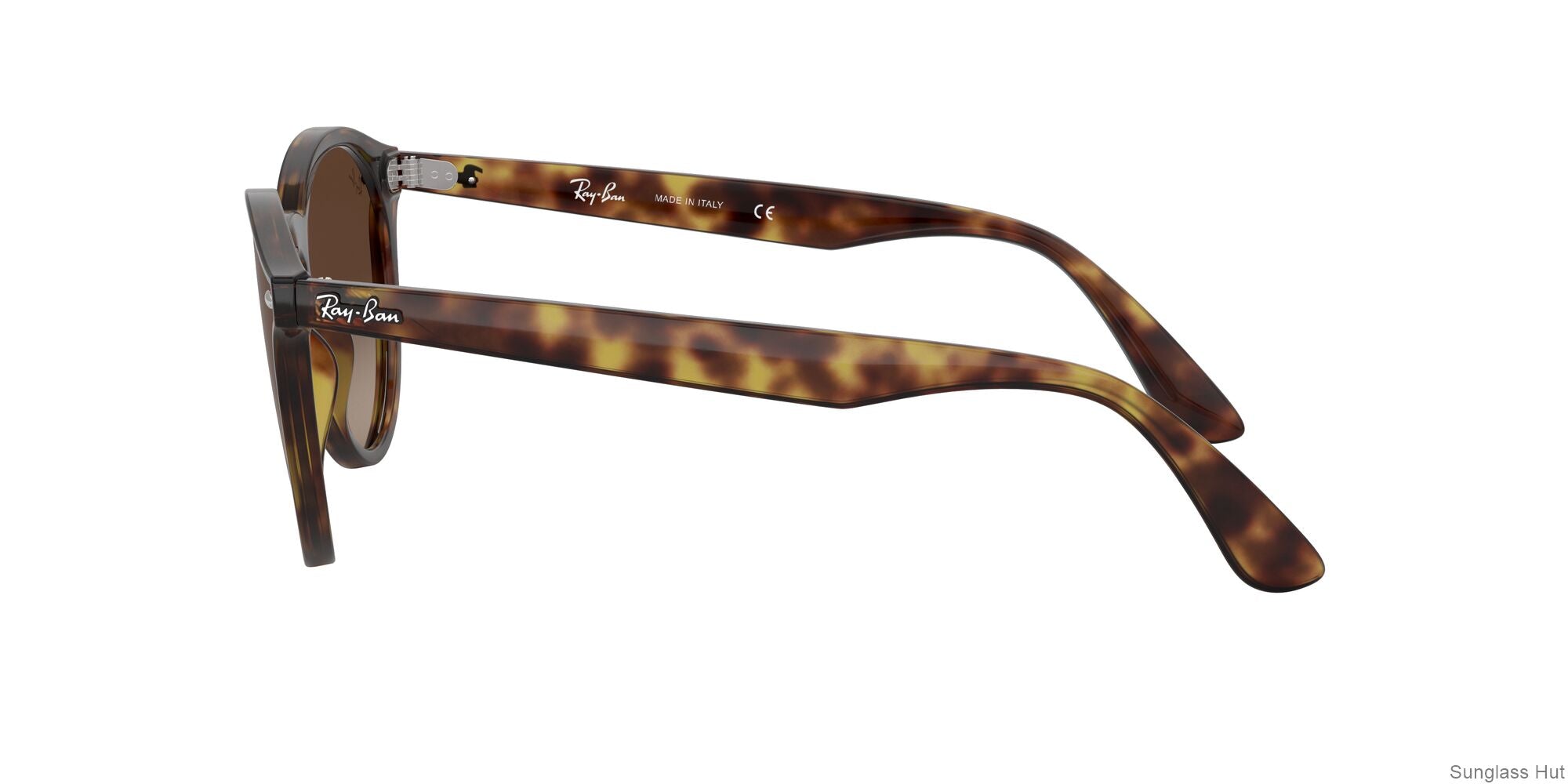 RB4380N Tortoise/Brown Gradient Dark Brown STD