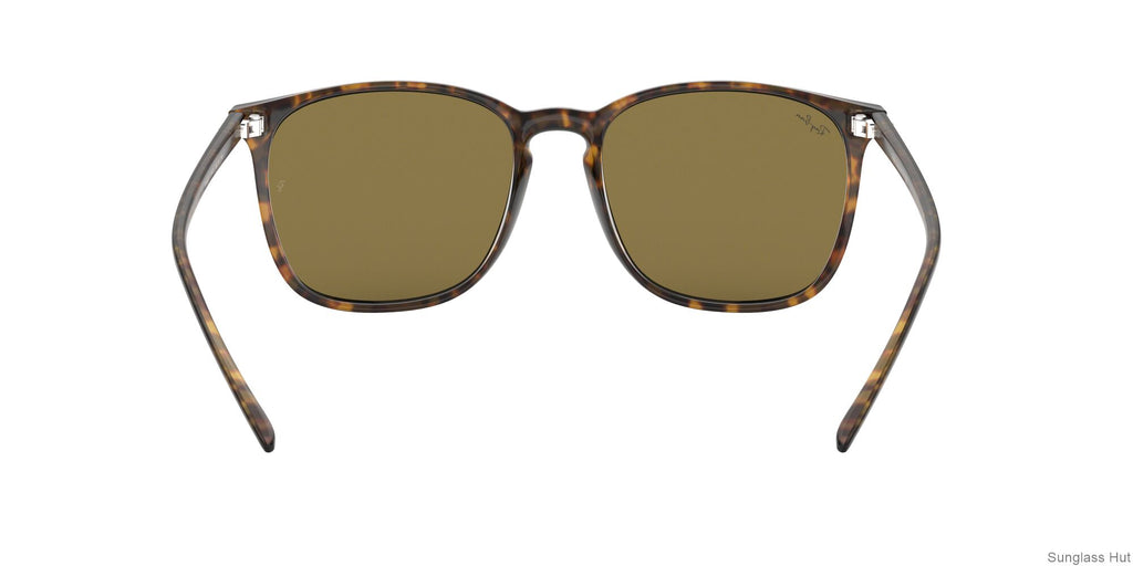 RB4387 Tortoise/Dark Brown STD