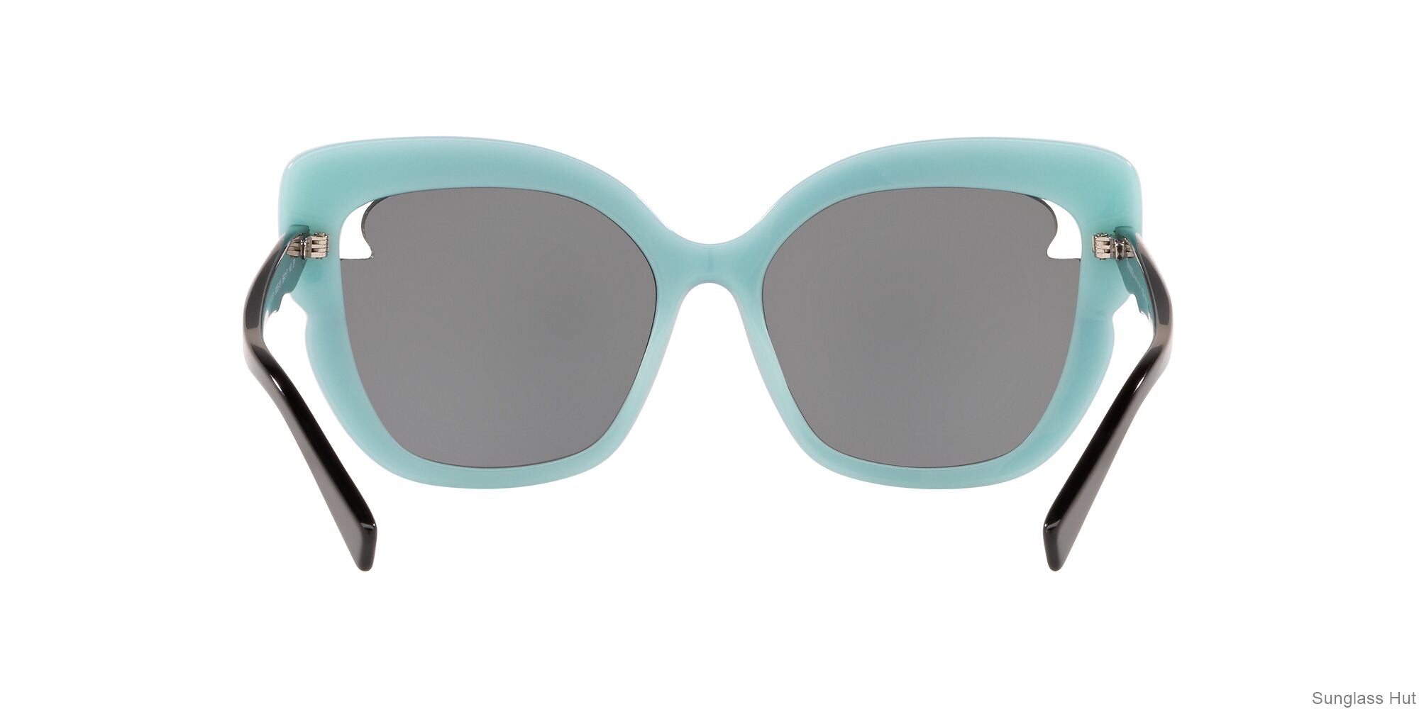 TF4161 Black/Polar Grey/Polarized M