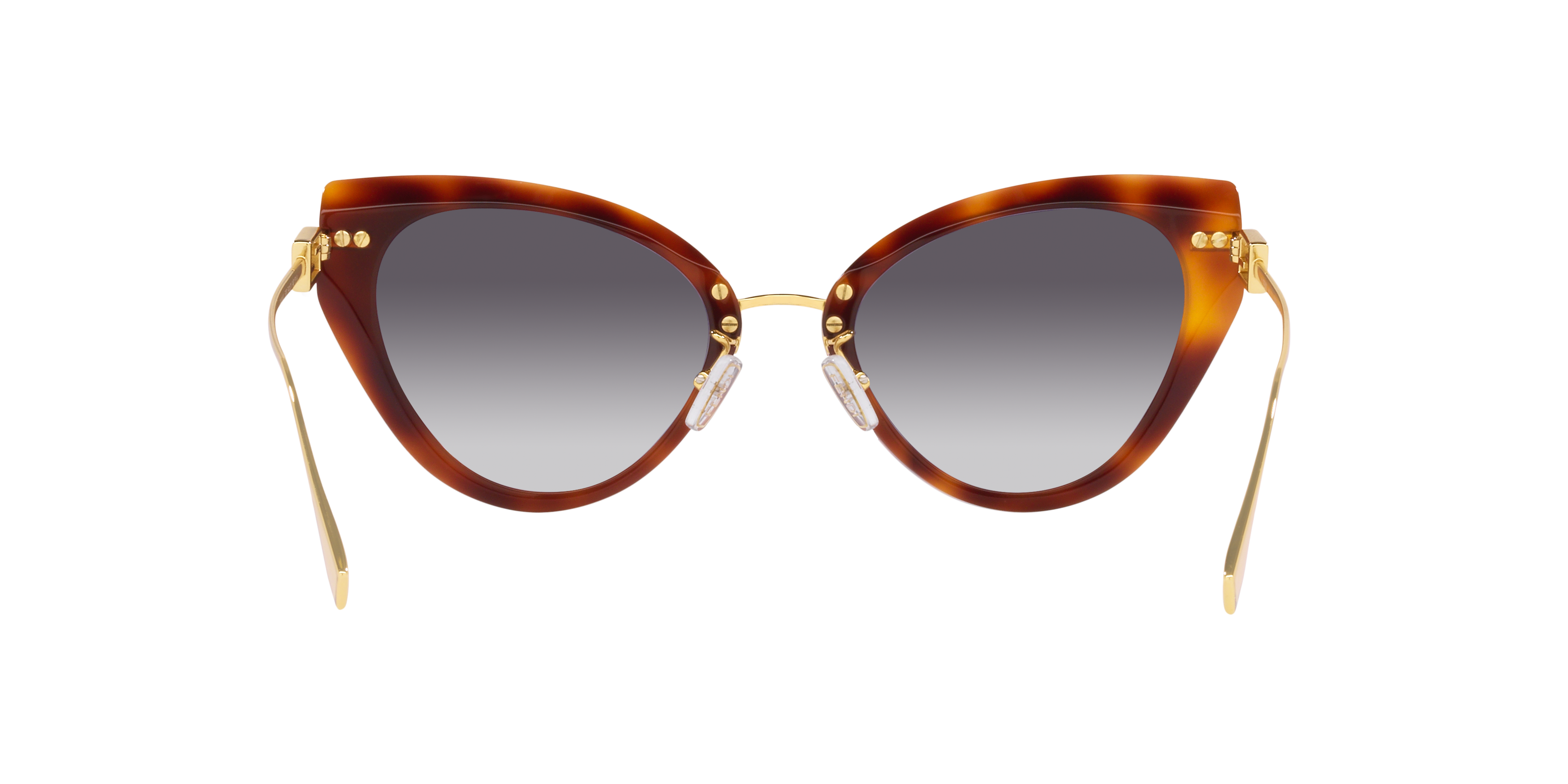 FN000581 Tortoise/Grey XXS