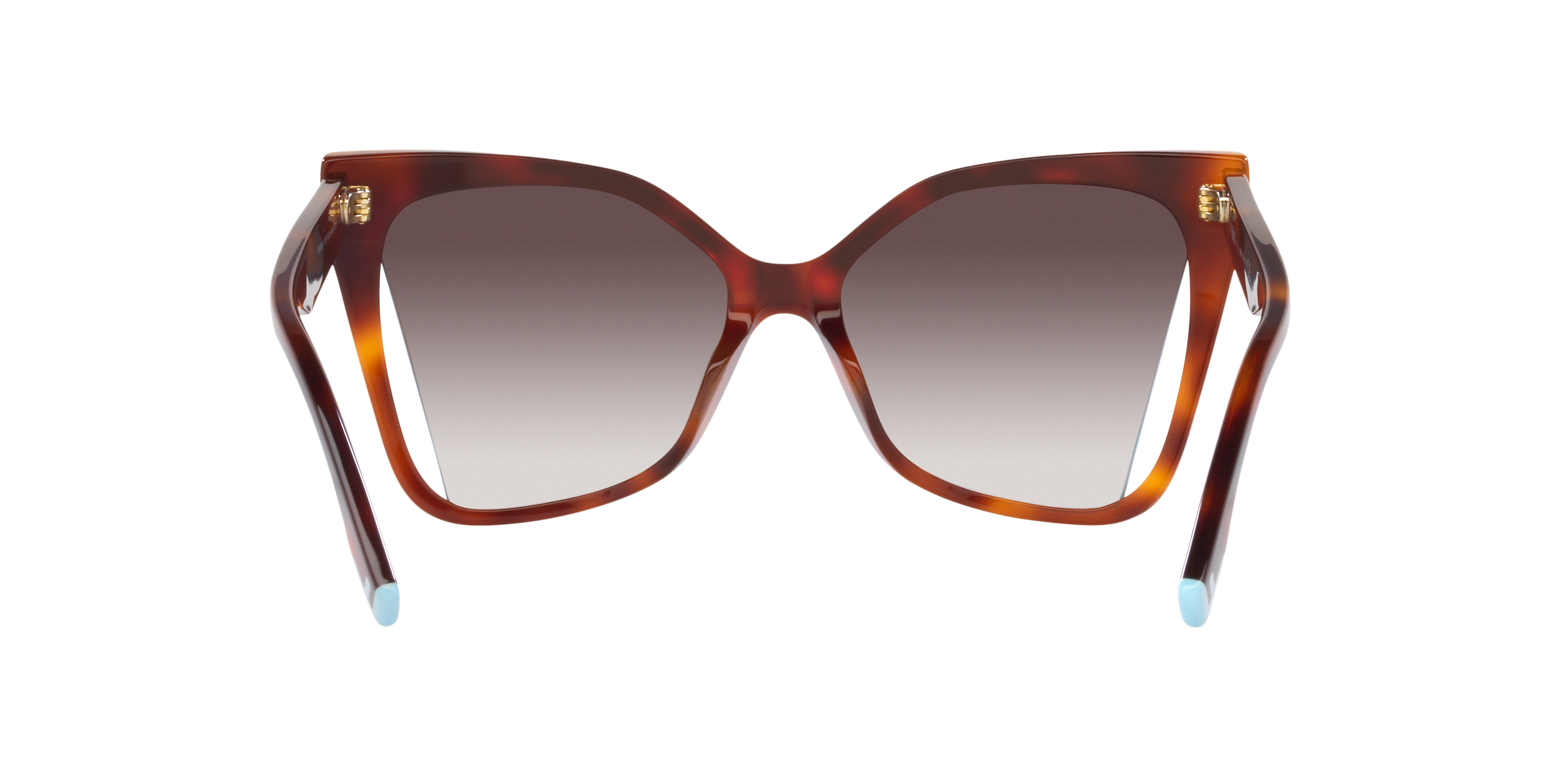 FN000577 Tortoise/Brown XXS