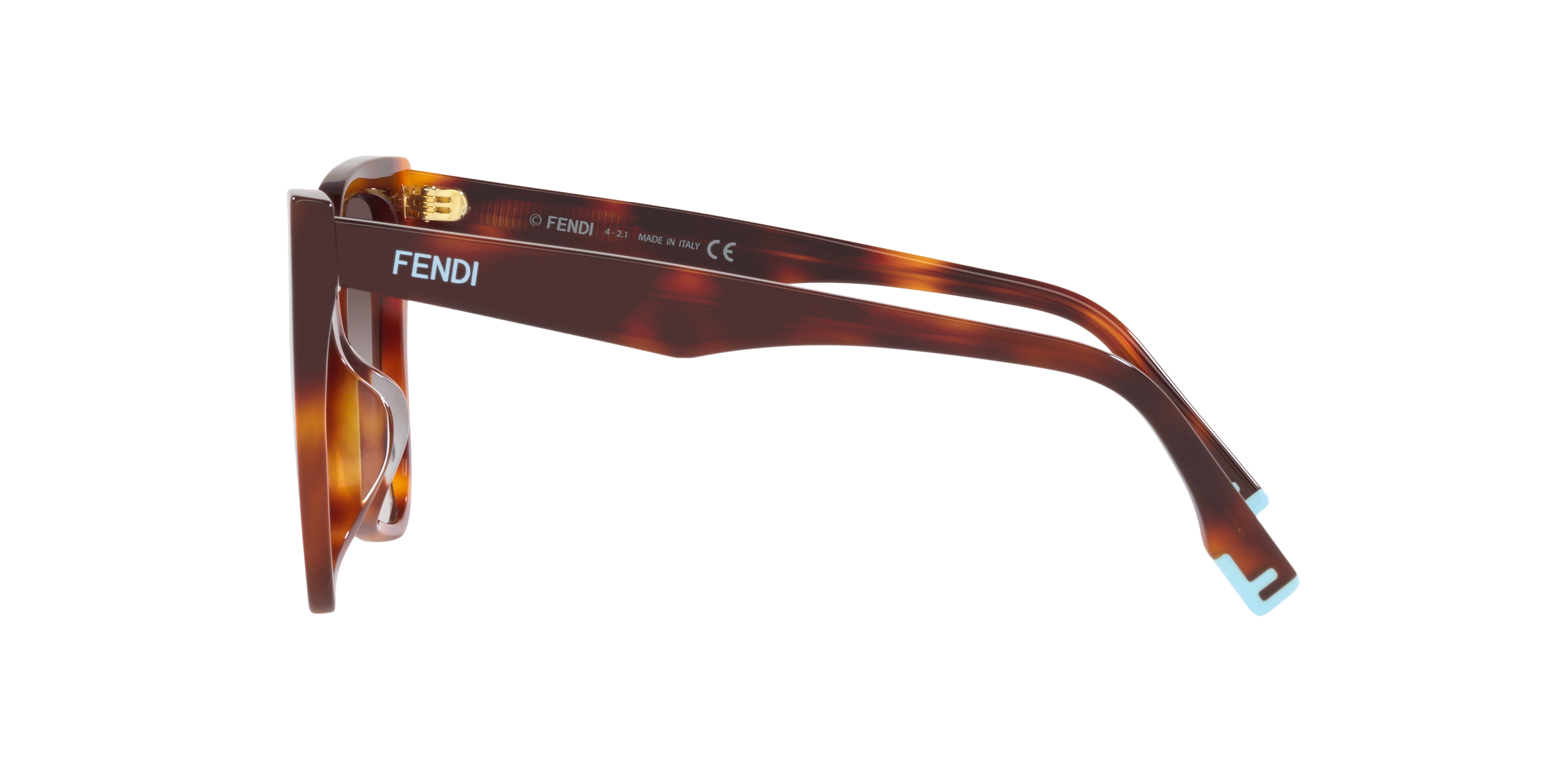 FN000577 Tortoise/Brown XXS