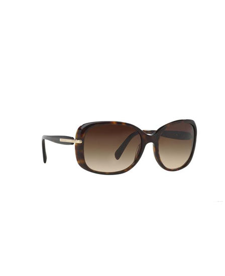 PR 08OS Brown/Brown Gradient L