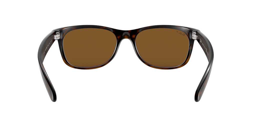 RB2132 Tortoise/Polarized Brown Classic B-15/Polarized STD