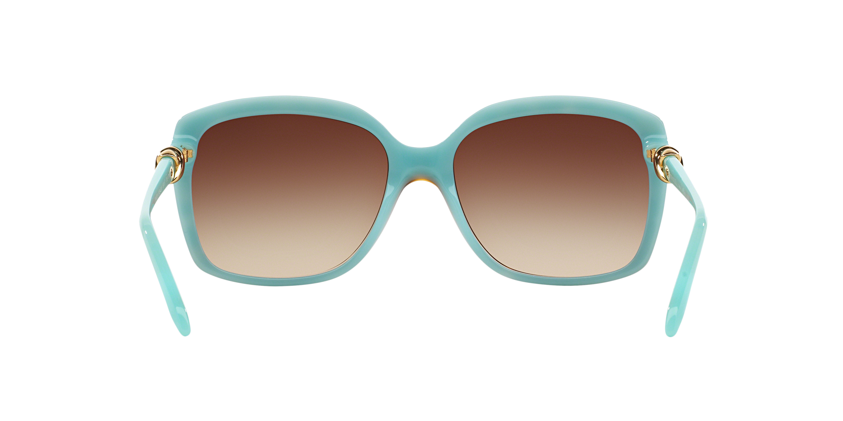 TF4076 Blue/Brown Gradient/Polarized