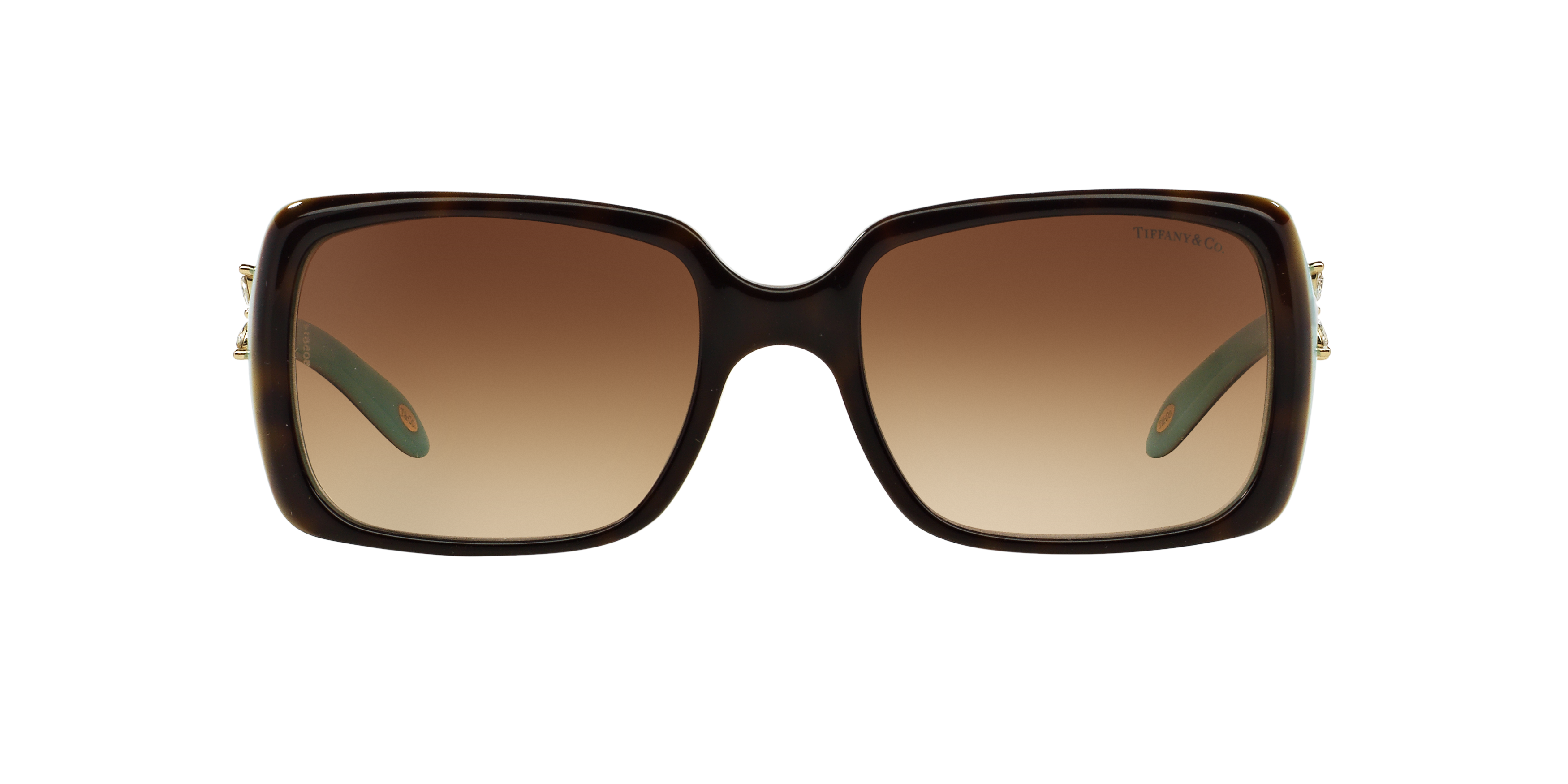 TF4047B Brown/Brown Gradient M
