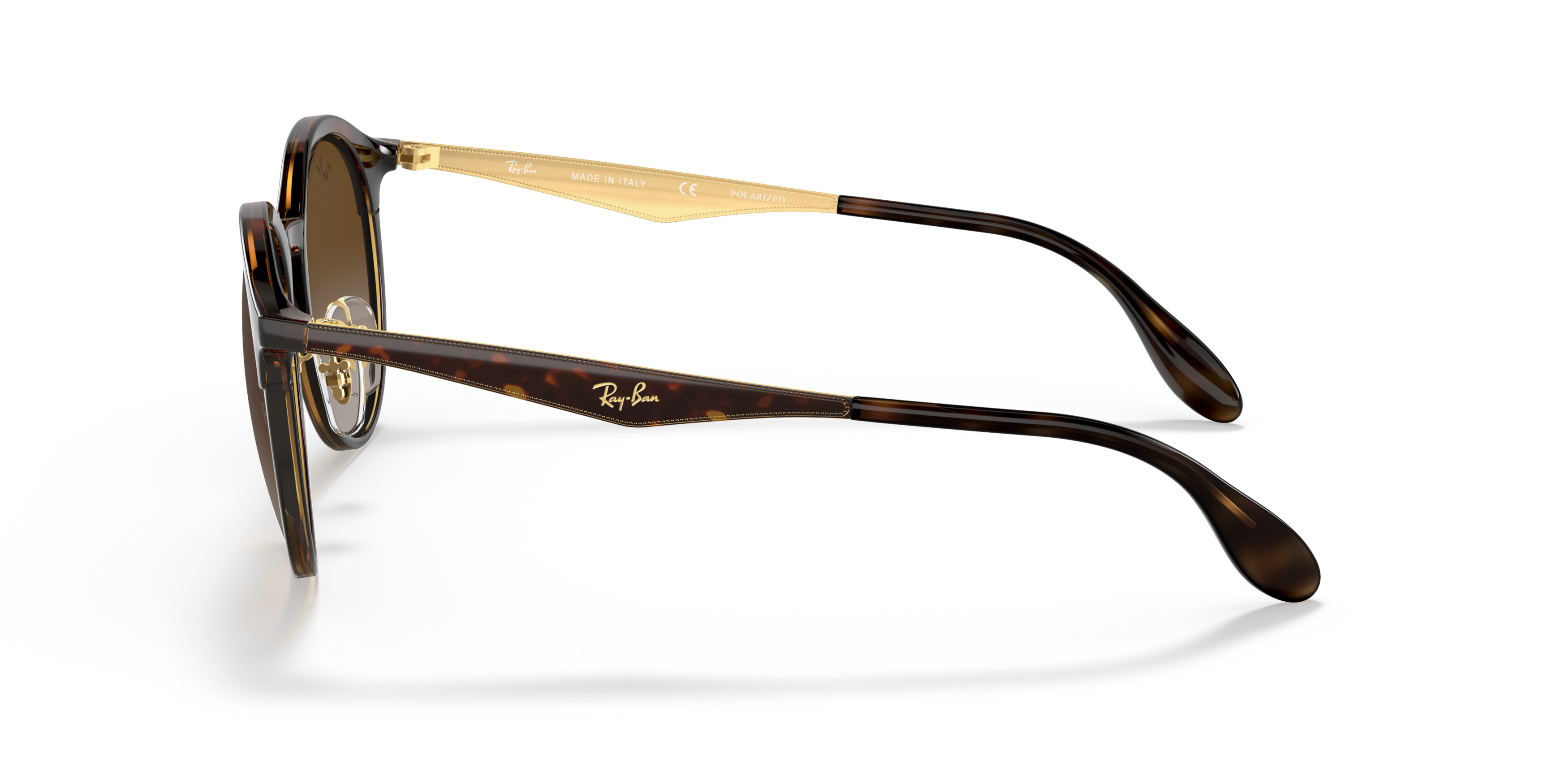 RB4277 Tortoise/Polarized Brown Gradient/Polarized STD