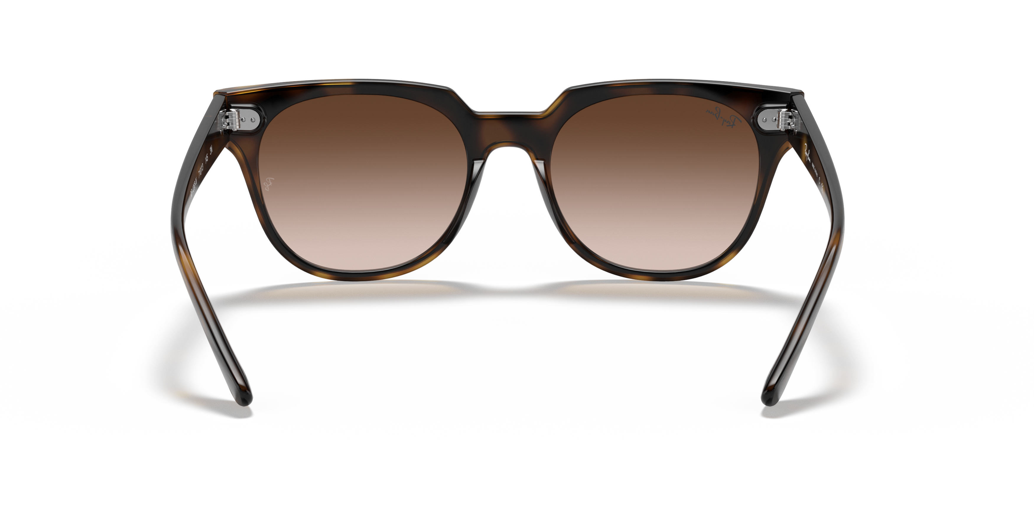 RB4368N Tortoise/Brown Gradient Dark Brown STD