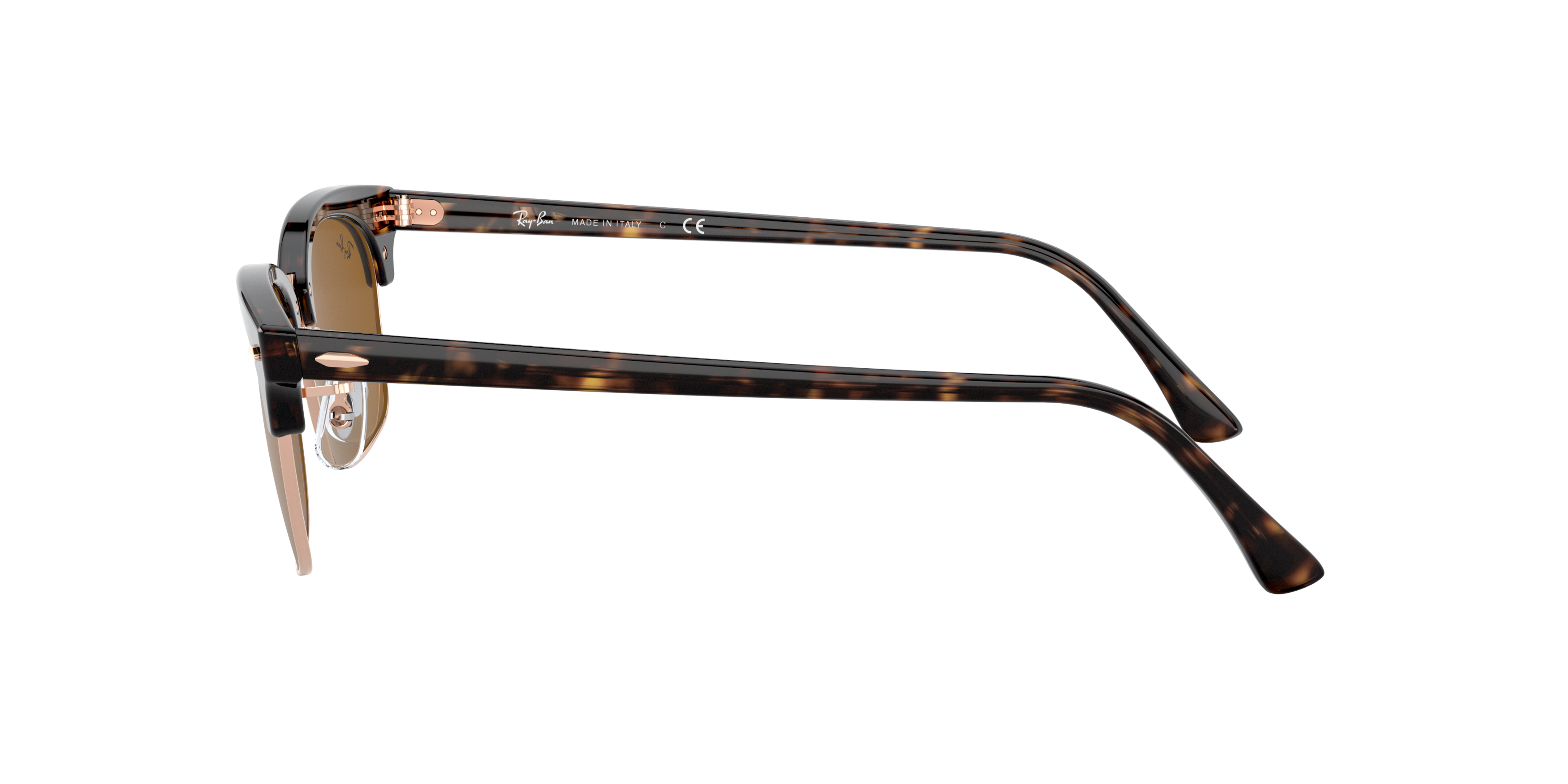 RB3916 Tortoise/Brown Classic B-15 STD