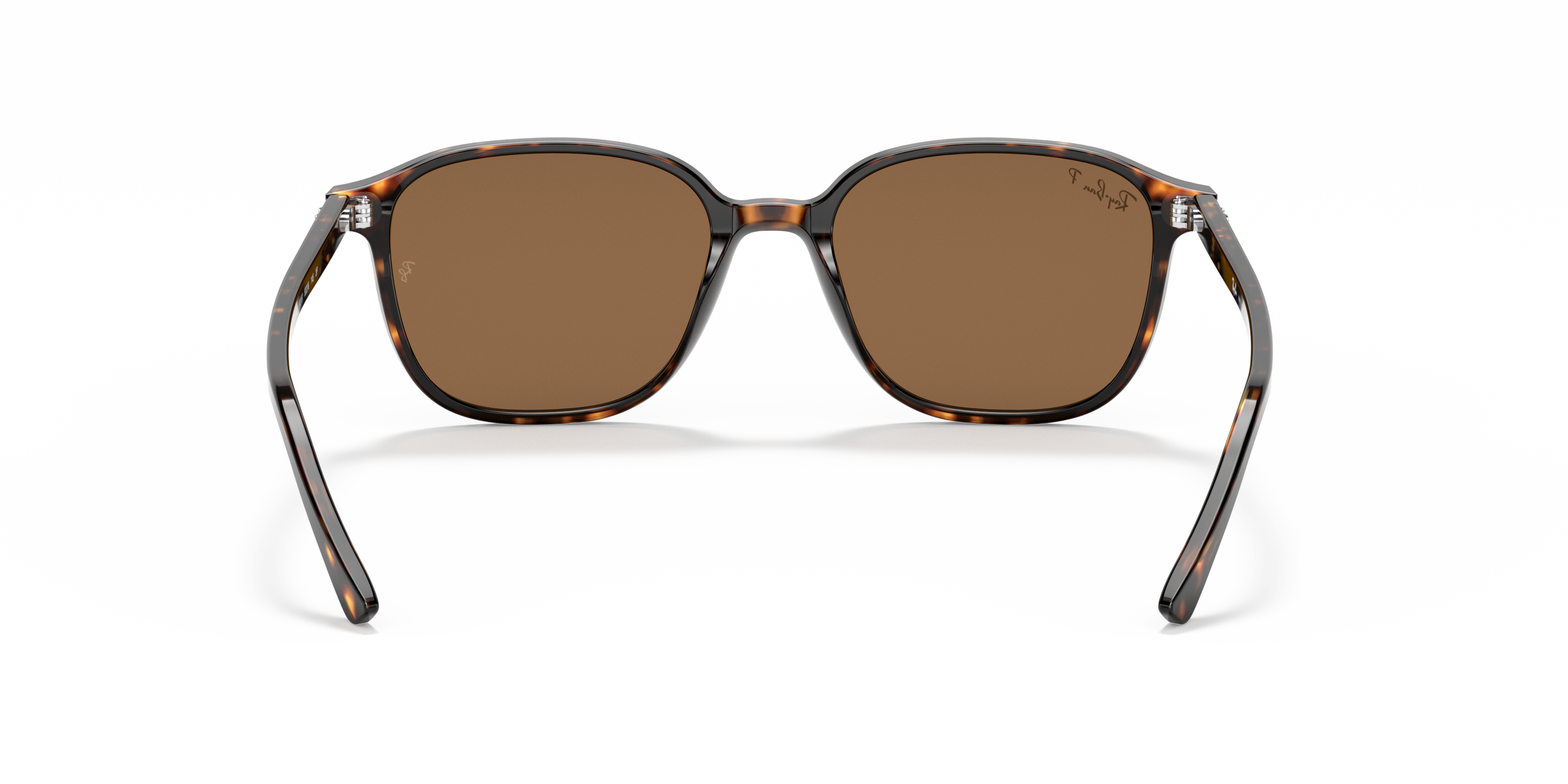 RB2193 Tortoise/Polarized Brown Classic B-15/Polarized STD