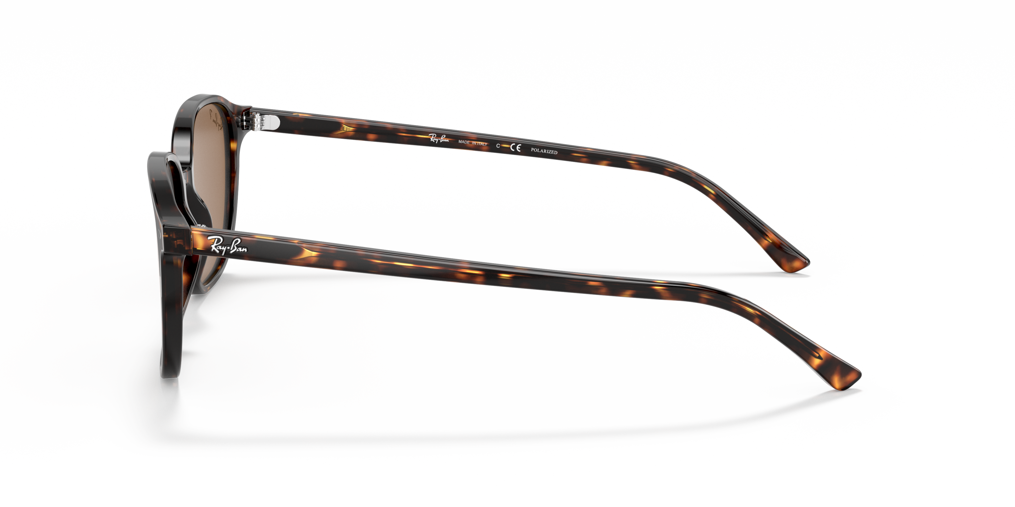 RB2193 Tortoise/Polarized Brown Classic B-15/Polarized STD