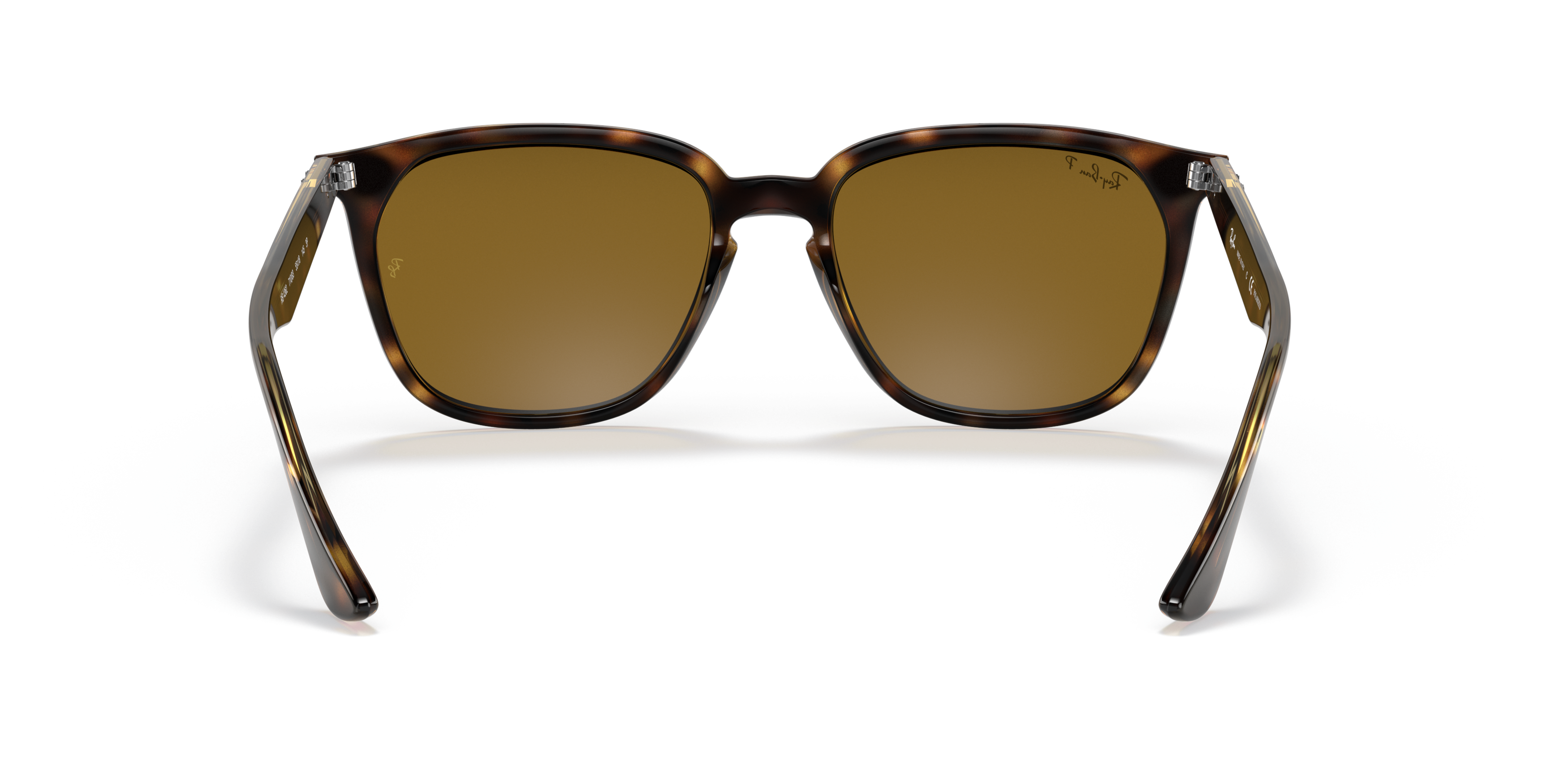 RB4362 Tortoise/Polar Brown/Polarized STD