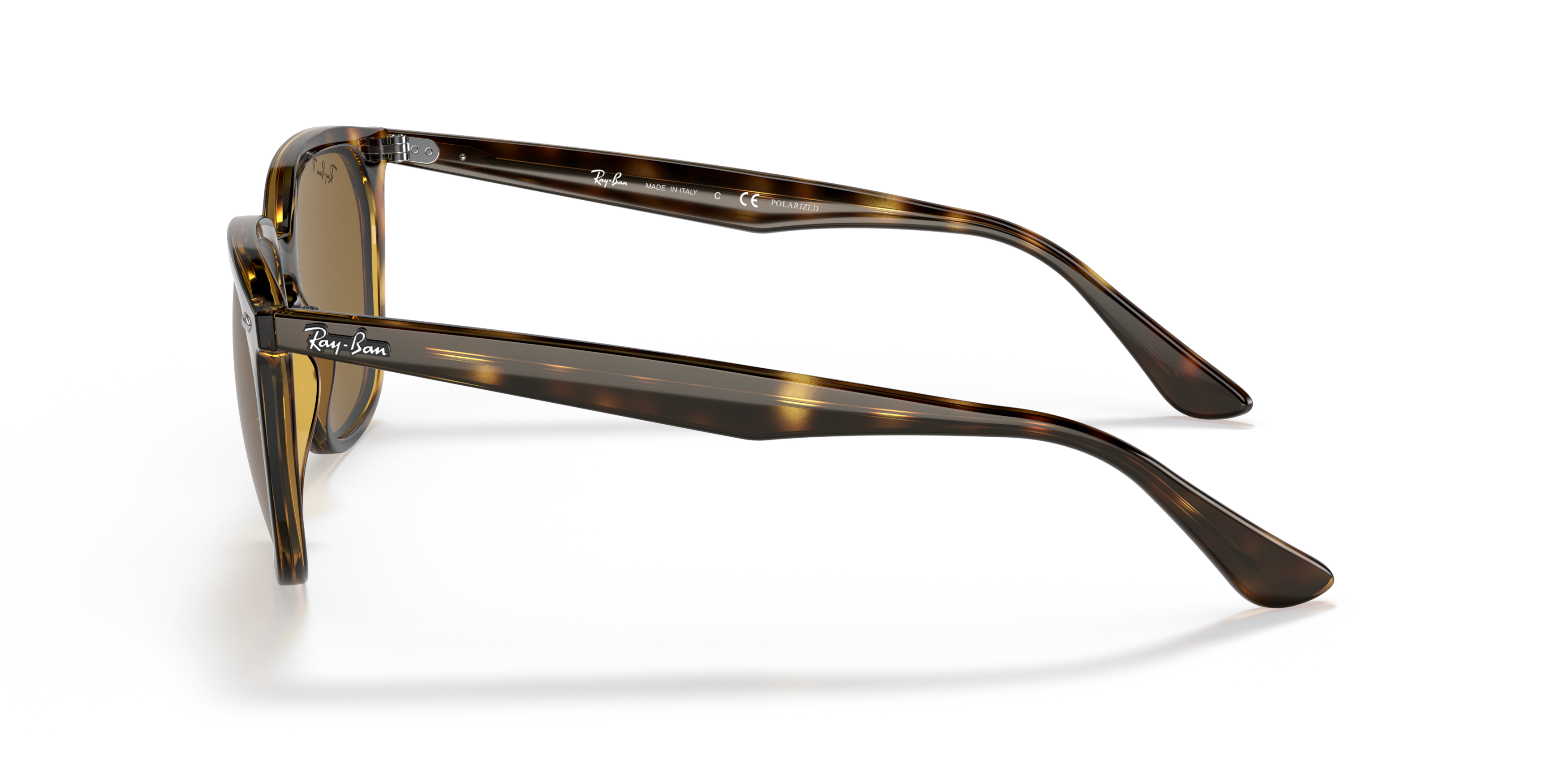RB4362 Tortoise/Polar Brown/Polarized STD