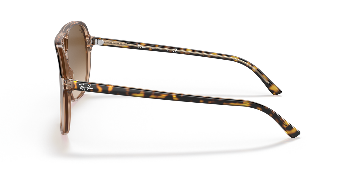 RB2198 Tortoise/Light Brown Gradient/Polarized