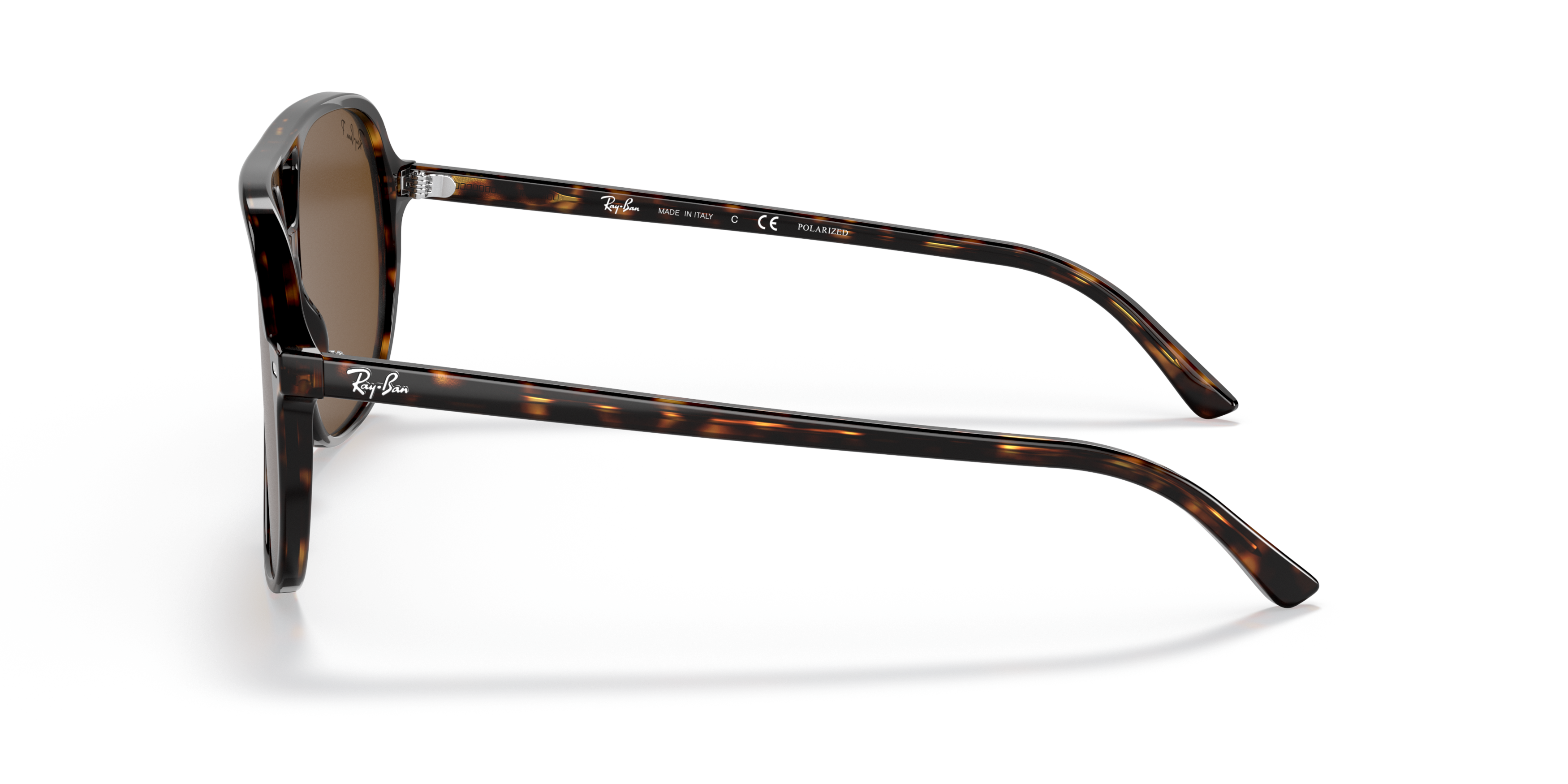 RB2198 Tortoise/Polarized Brown Classic B-15/Polarized S