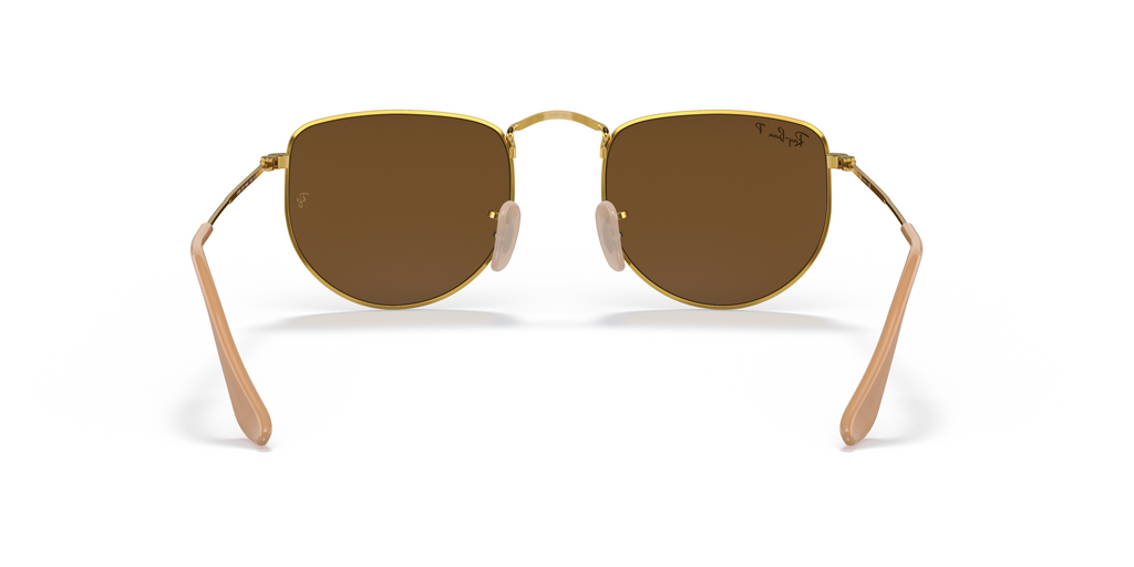 RB3958 Gold/Brown/Polarized XS