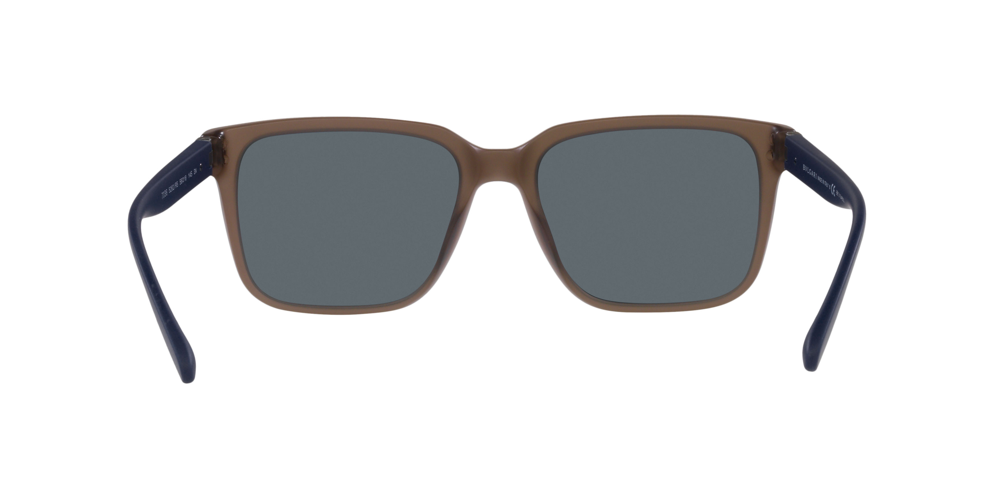 BV7036 Blue/Blue/Polarized