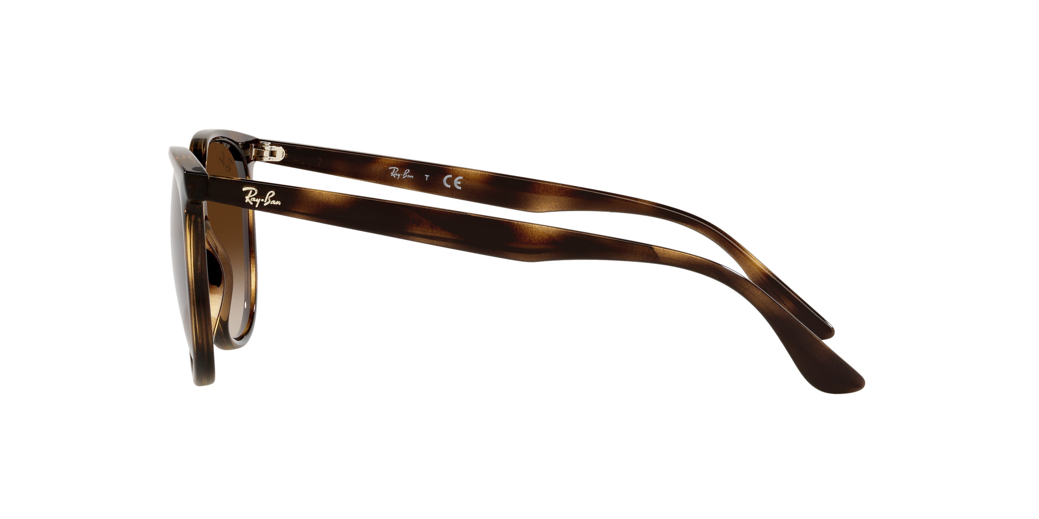RB4378 Brown/Gradient Brown