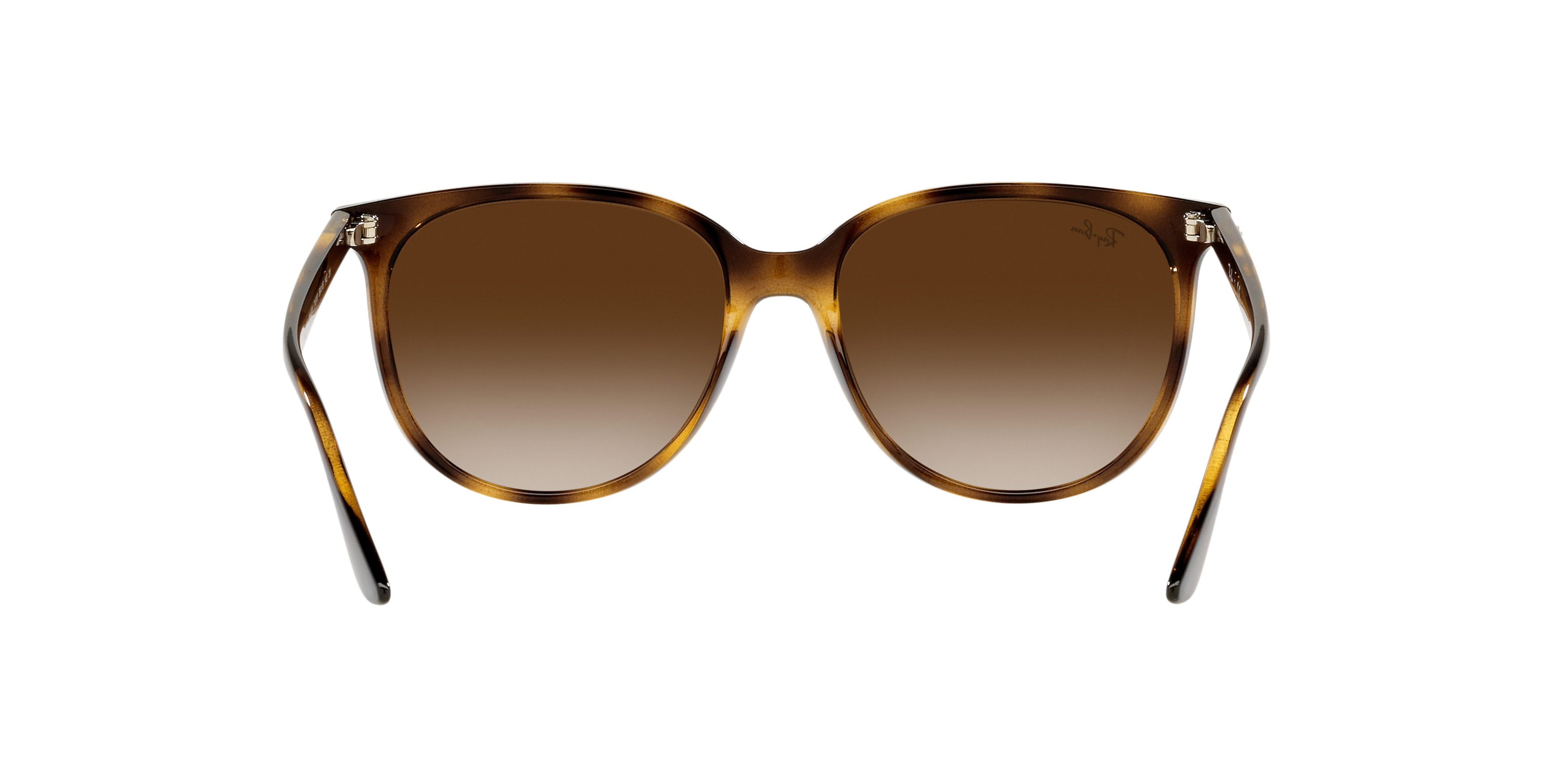RB4378 Brown/Gradient Brown
