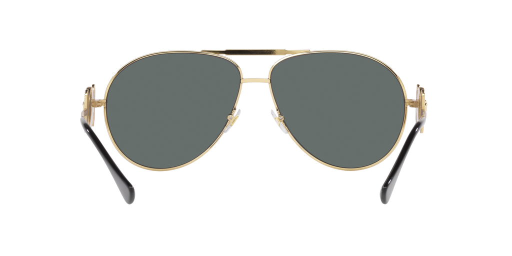 VE2249 Gold/Grey/POLARIZED XXL