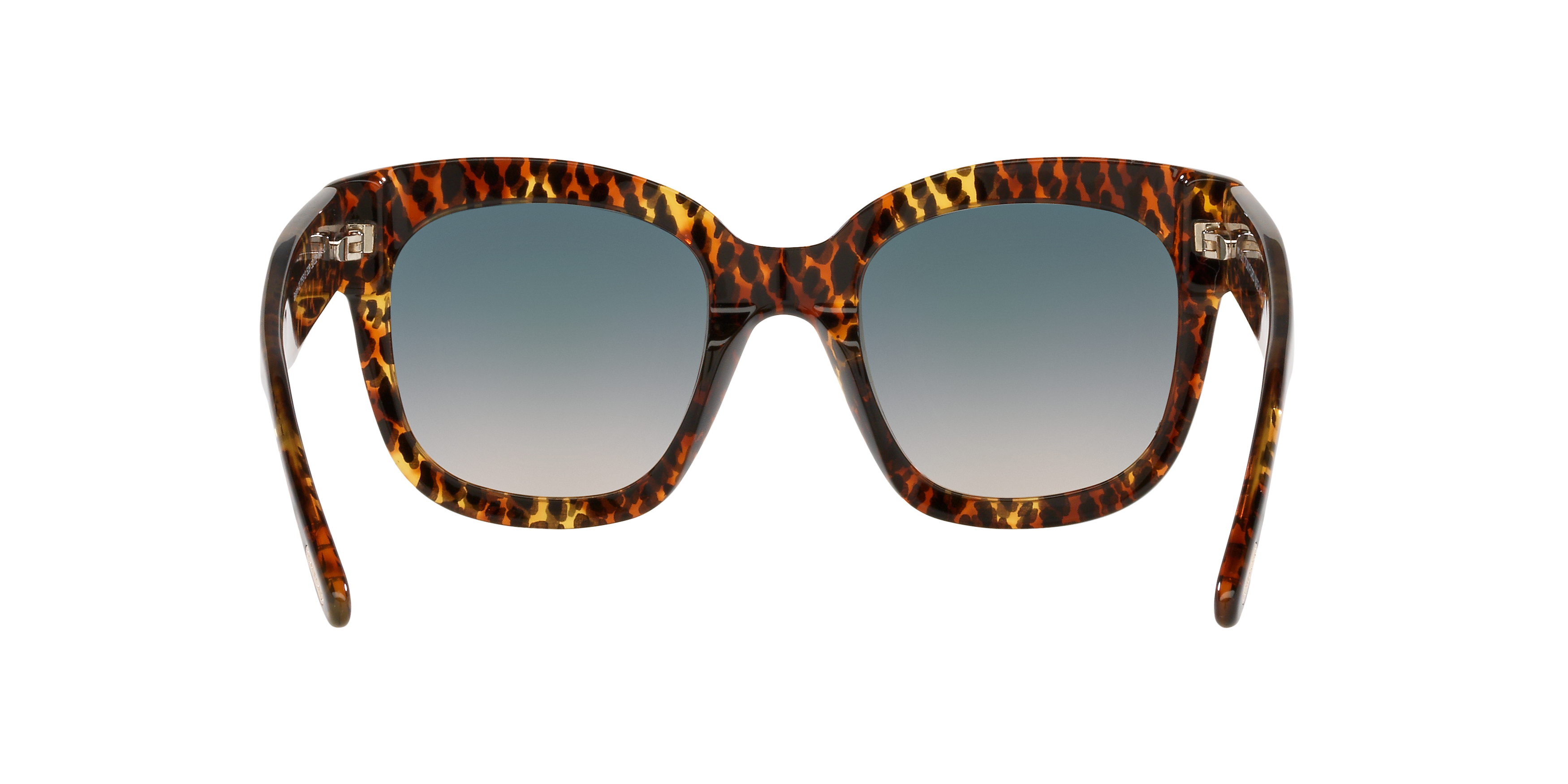 TR001298 Tortoise/Grey Grad