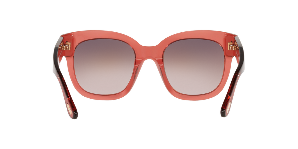 TR001298 Brown